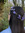 Niloofar | 1 comments