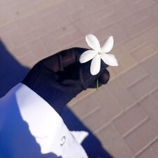 شَذَر السالم 