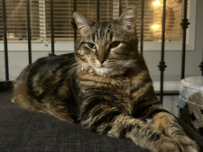 Chloe