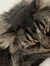 Cat Monardes