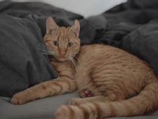 Mathilde Slot Clausen