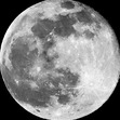 Moonshadow