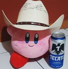 nz( •̯́ ₃ •̯̀)