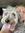 member photo member photo