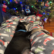 Abby