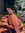 member photo member photo