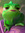 pascal_pookie