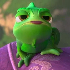 pascal_pookie