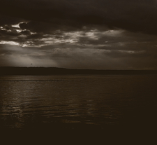  *:･ﾟnatalie *:･ﾟ