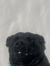 Fernand...