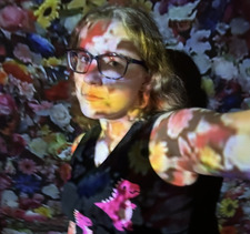 Willow (Taylor's version)