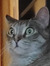 Cristin...