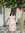 Hifza Tanveer