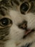 Ben