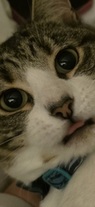 Ben