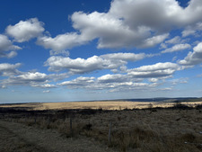 Constantinos Vlassiou