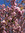 Katie | 1 comments