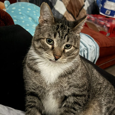 Maggie B
