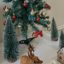 just a worm&#x1f41b;&#x1f4da;