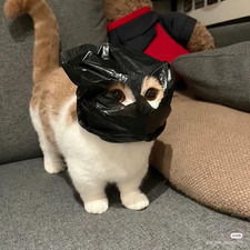 Michael