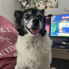 °❀⋆.ೃ࿔*:･ Taylor °❀⋆.ೃ࿔*:･