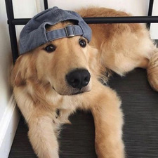 Sasha🪽