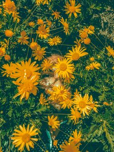 Juan Sebastián De los Ríos Forero