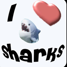 Rae Shark