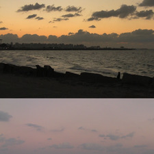 alyssa┊͙ ˘͈ᵕ˘͈