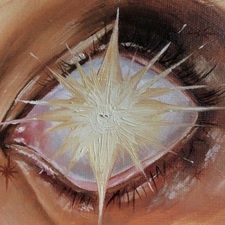 ✨️ these gilded hours ✨️ 