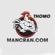 ĐÁ GÀ TRỰC TIẾP VIN