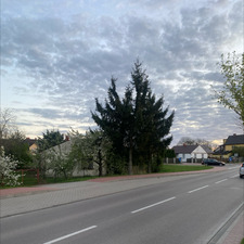 Mateusz Nieweglowski