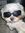 Shaun