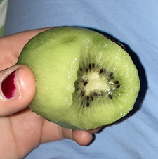 Iris Aagaard Andreis