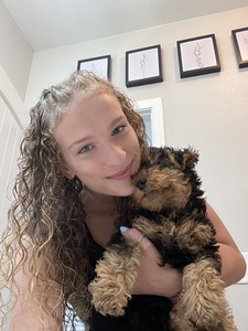 Piper
