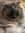 Renad | 1 comments