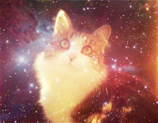 ⋆⭒˚｡⋆₊ ⊹laila⋆⭒˚｡⋆₊ ⊹