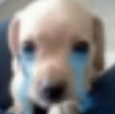 jelem