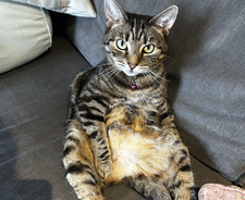 Tara B