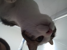 inês ♡