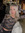 Lissy