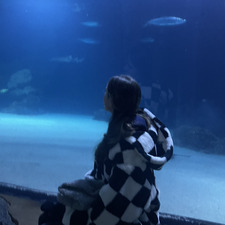 Rose-Leigh*ੈ✩‧₊