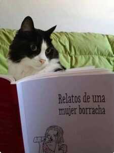 Pao