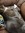 Bookreader626 | 54 comments