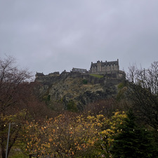 Amy Jenkins