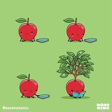 عبير  أبو المجد 