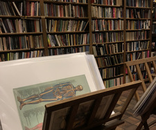 bloeslibrary