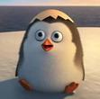 Epic Penguin 16