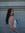 lindsay quan | 70 comments