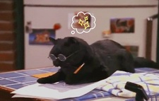 Kat ⋆.˚ ☾ .⭒˚